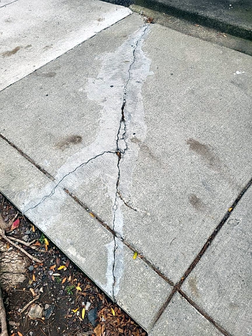 Image submitted with report