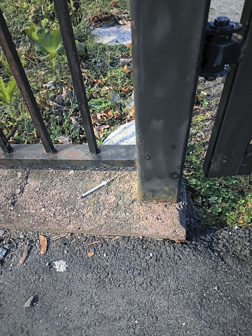 Image submitted with report