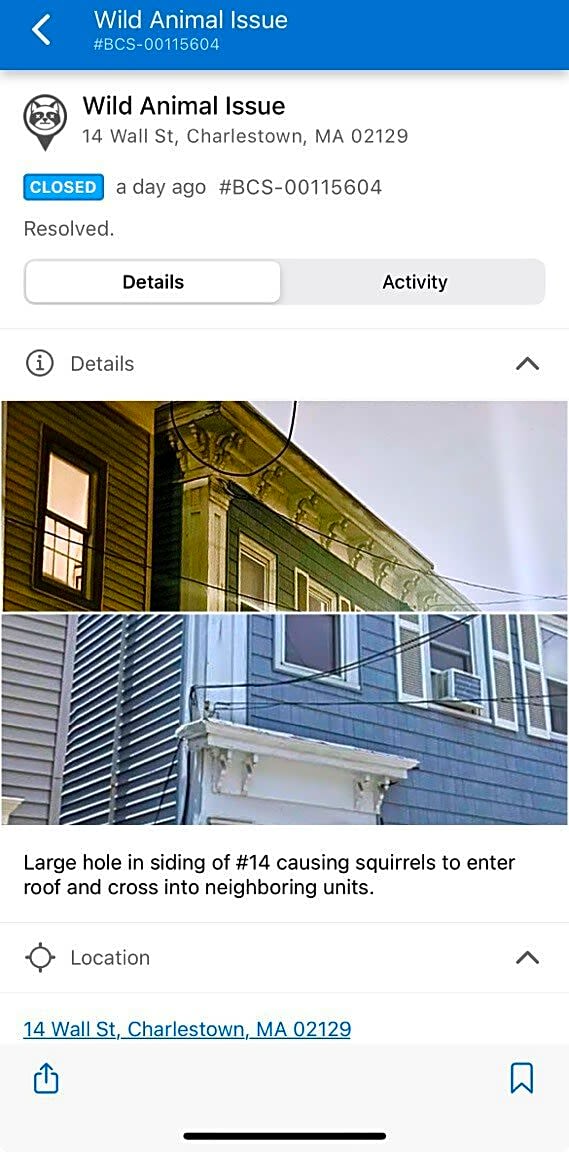 Image submitted with report