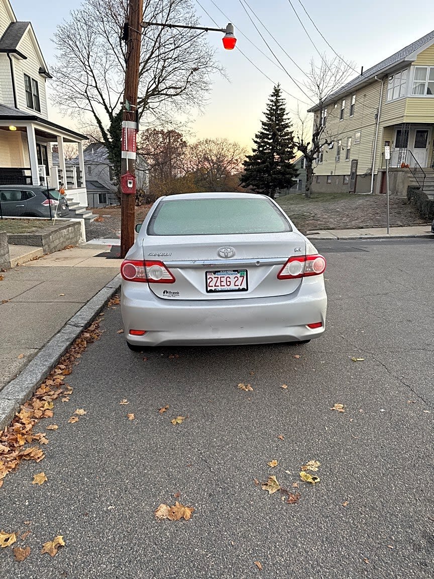 Image submitted with report