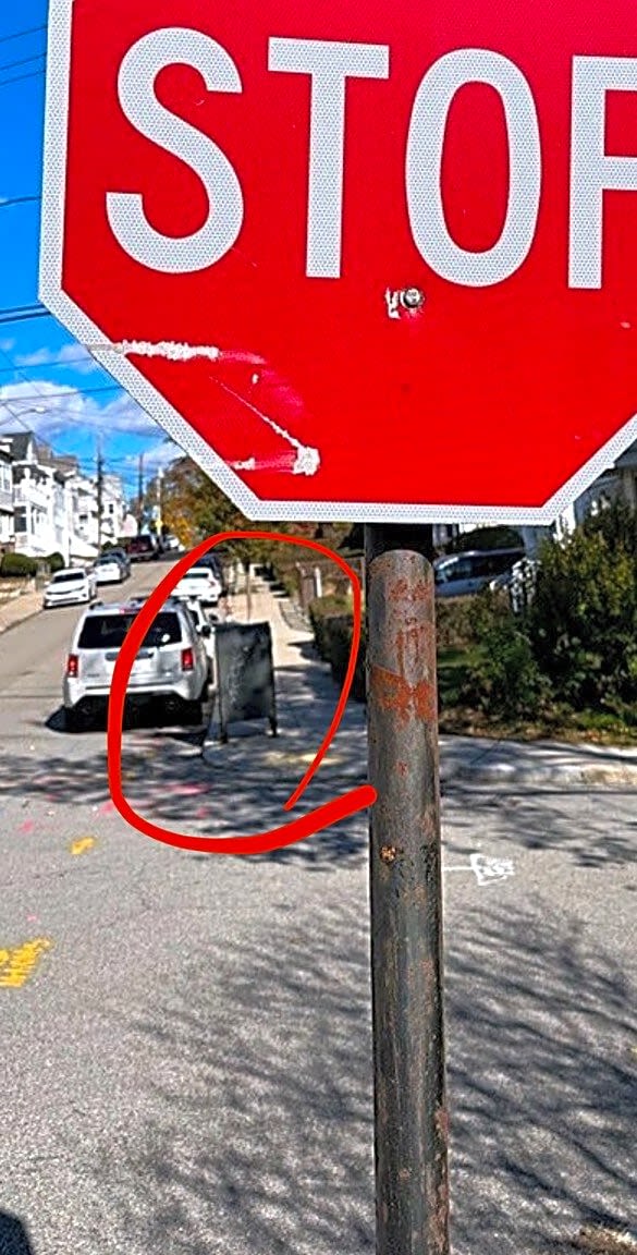 Image submitted with report