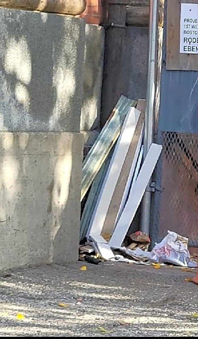 Image submitted with report