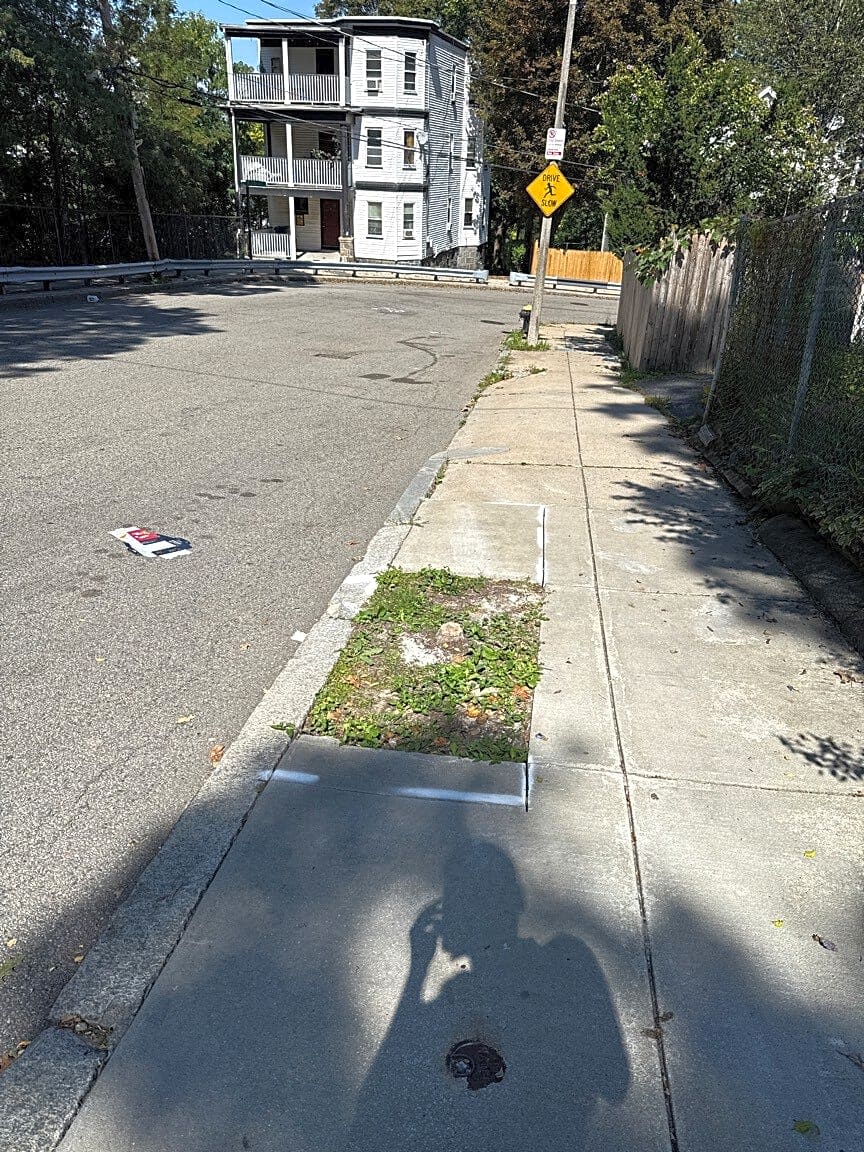 Image submitted with report