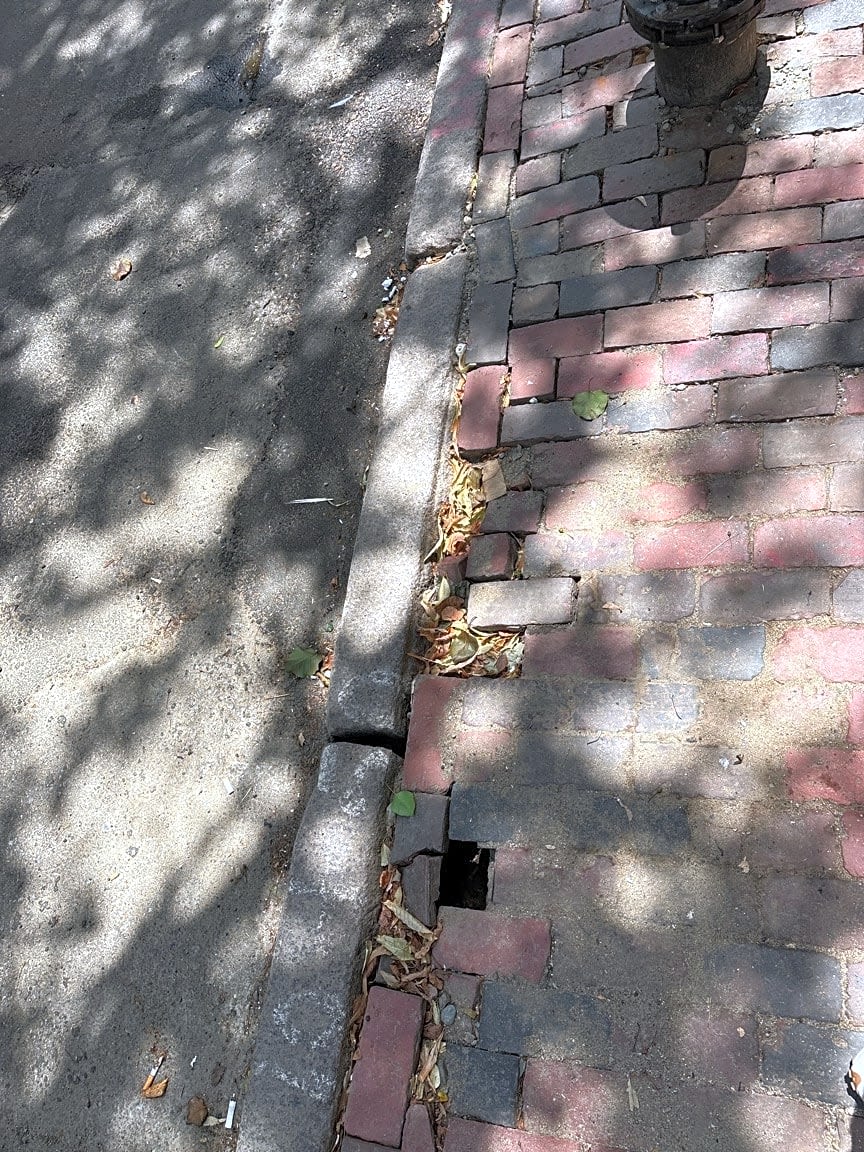 Image submitted with report