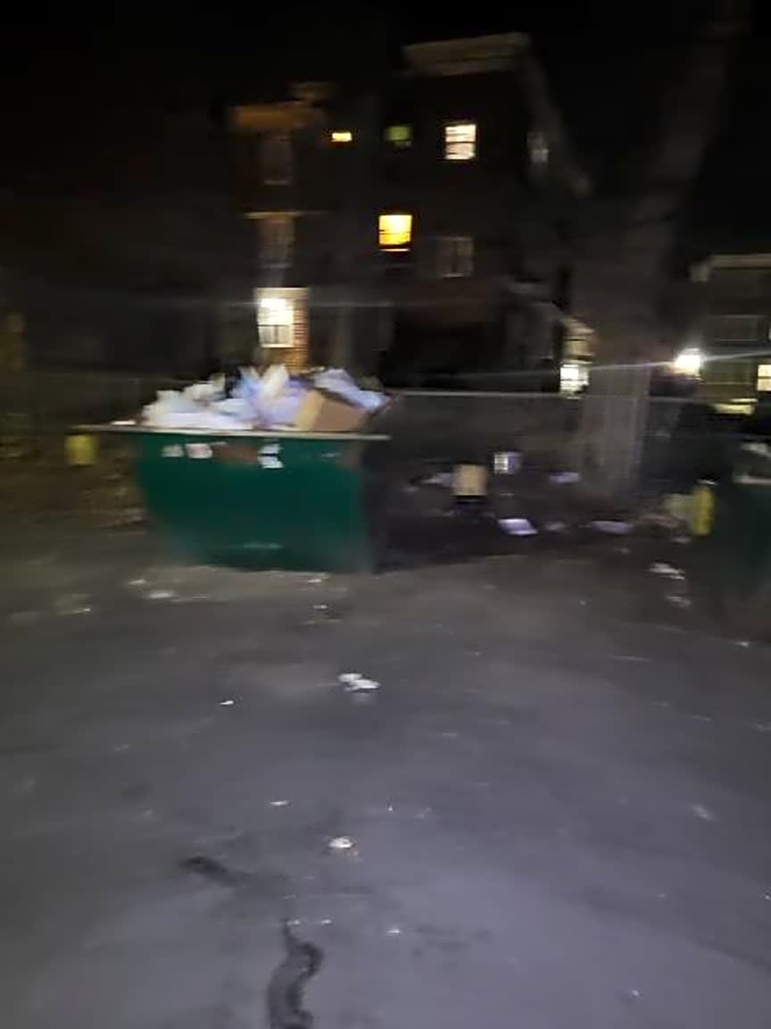 Image submitted with report