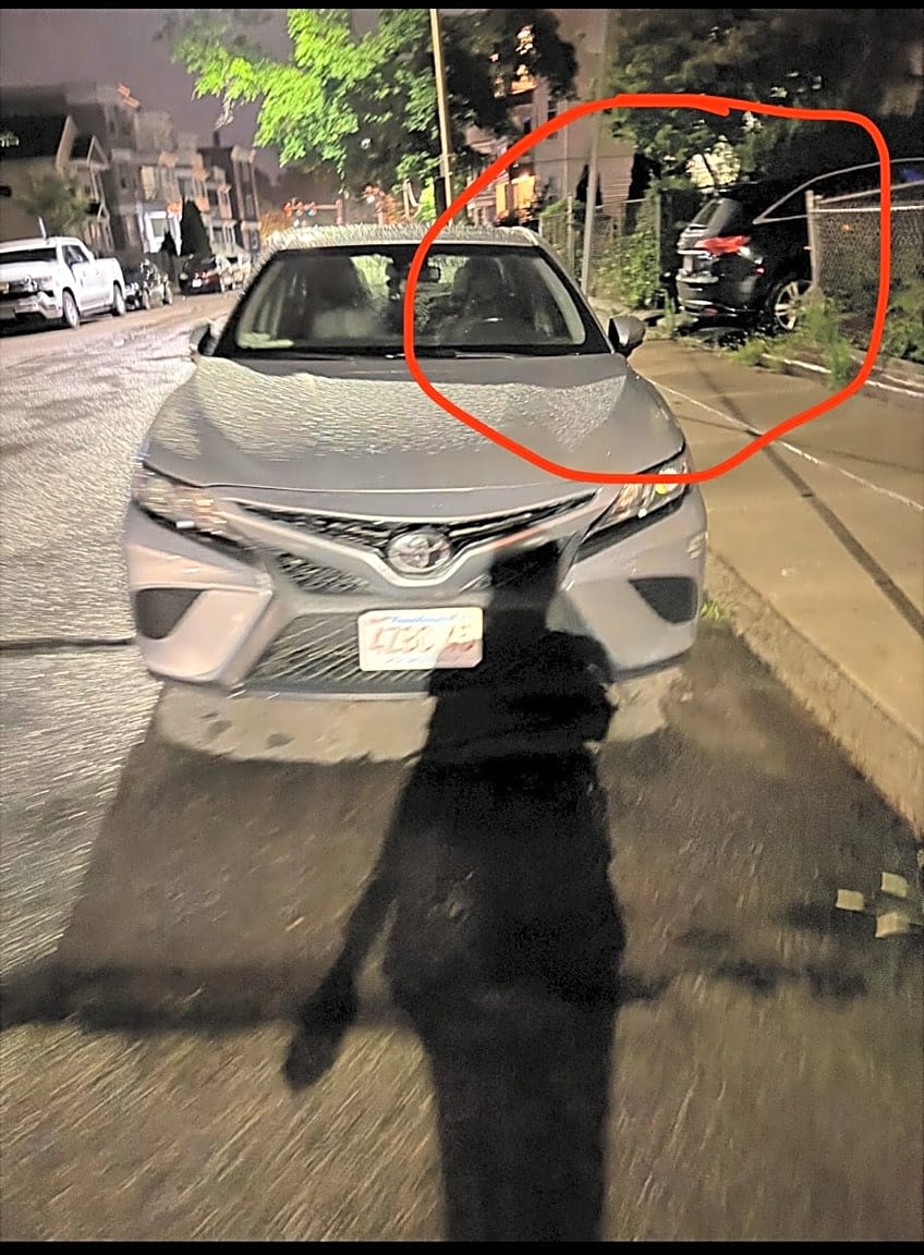 Image submitted with report