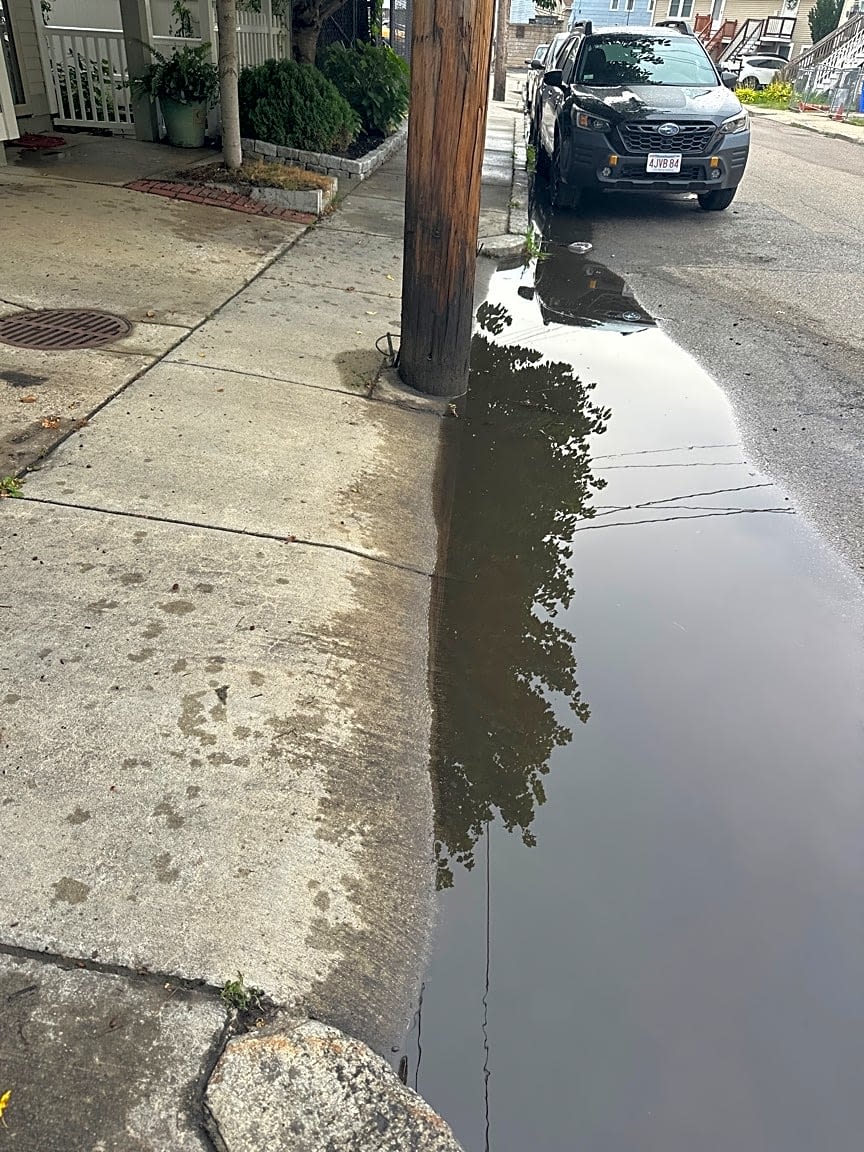 Image submitted with report