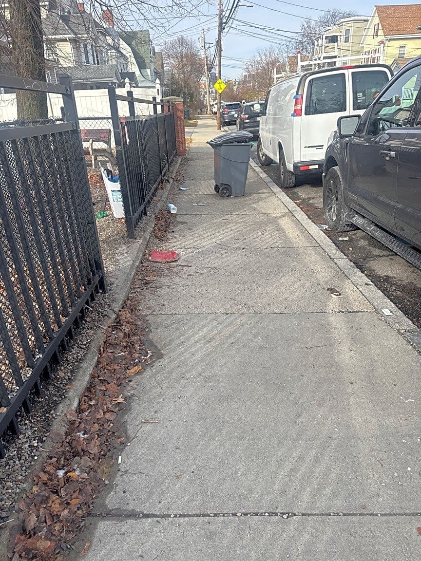 Image submitted with report