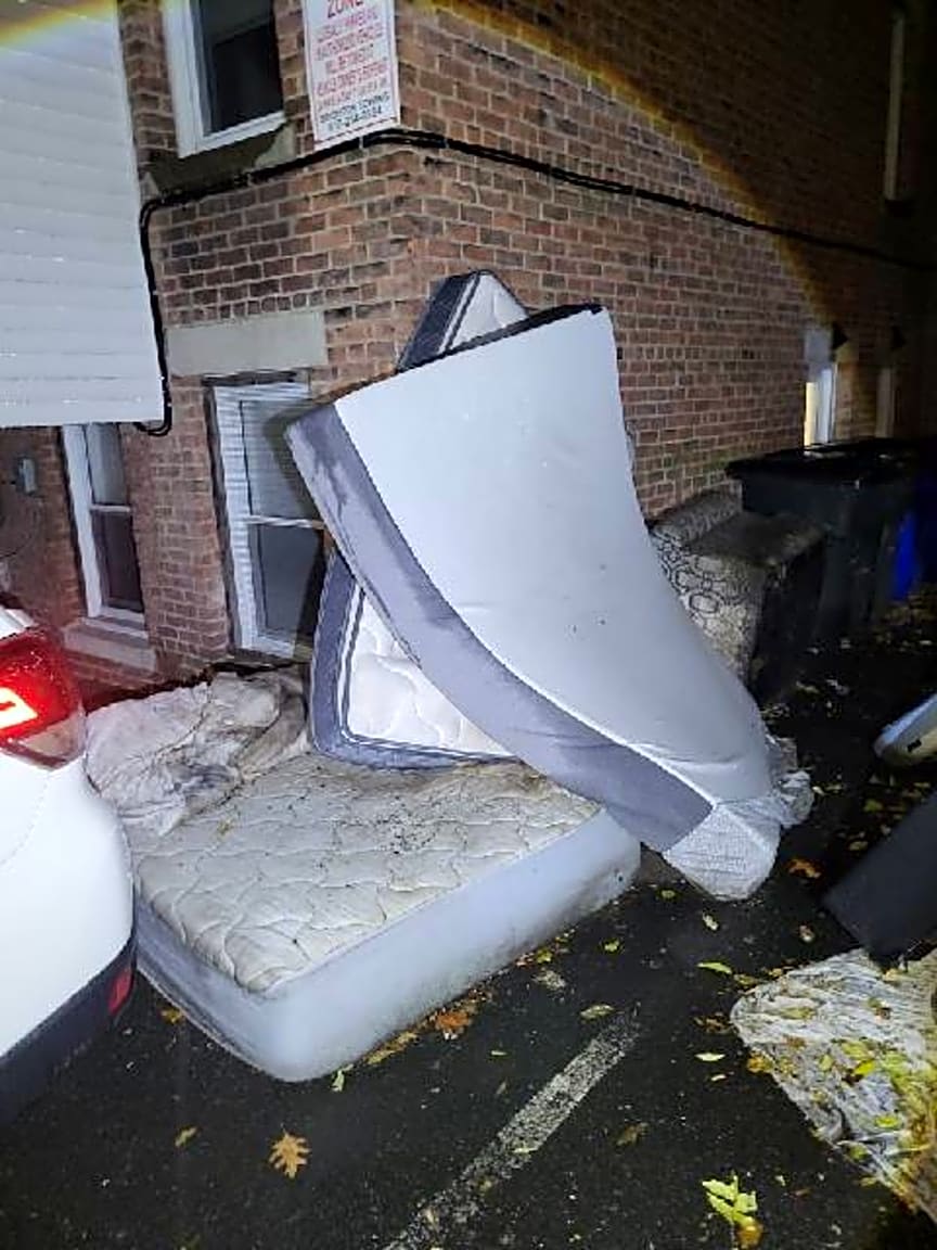 Image submitted with report