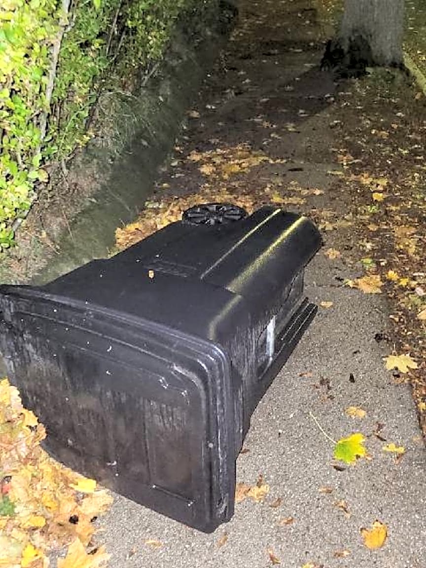 Image submitted with report