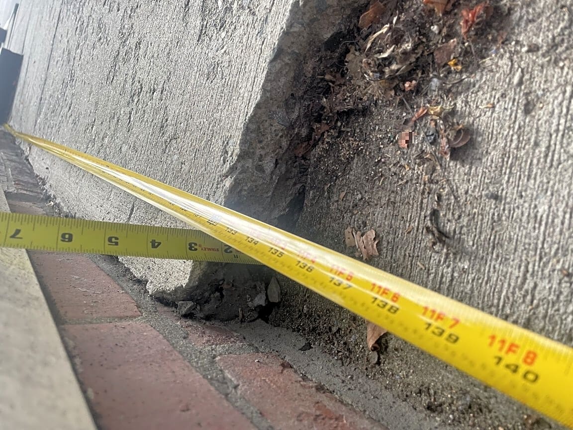 Image submitted with report
