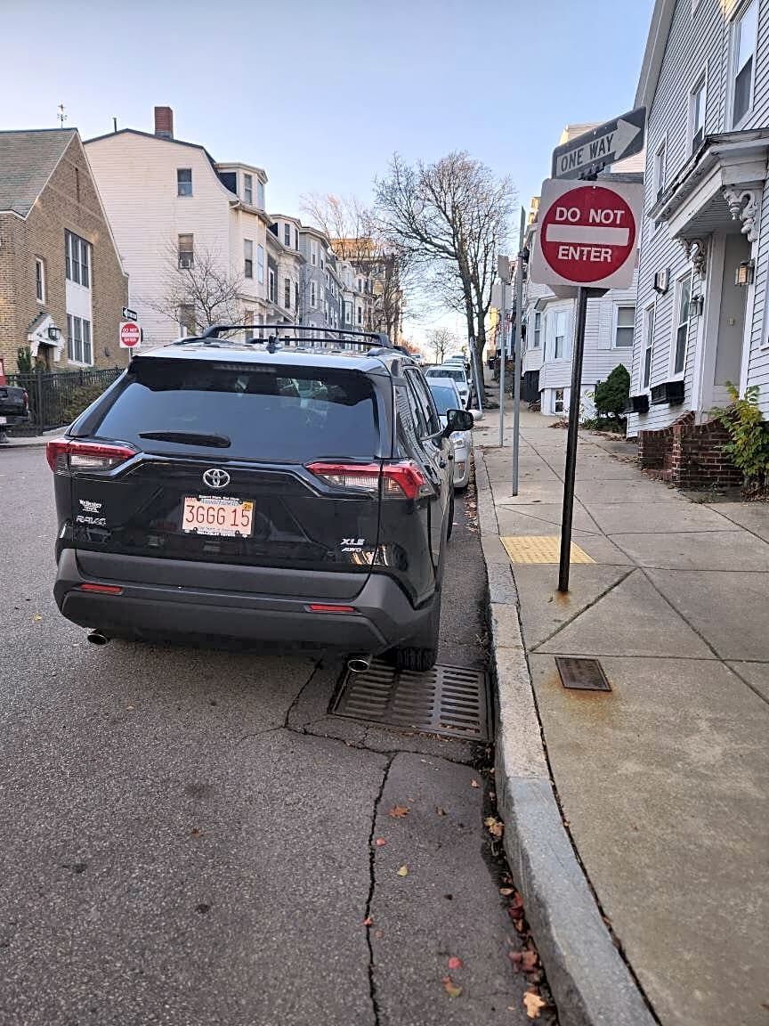 Image submitted with report