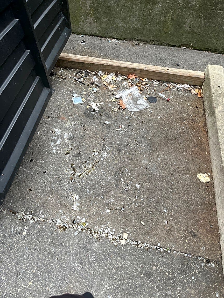 Image submitted with report