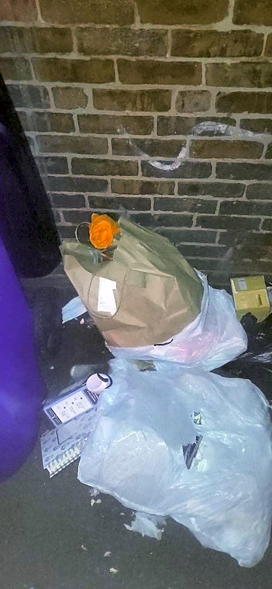 Image submitted with report