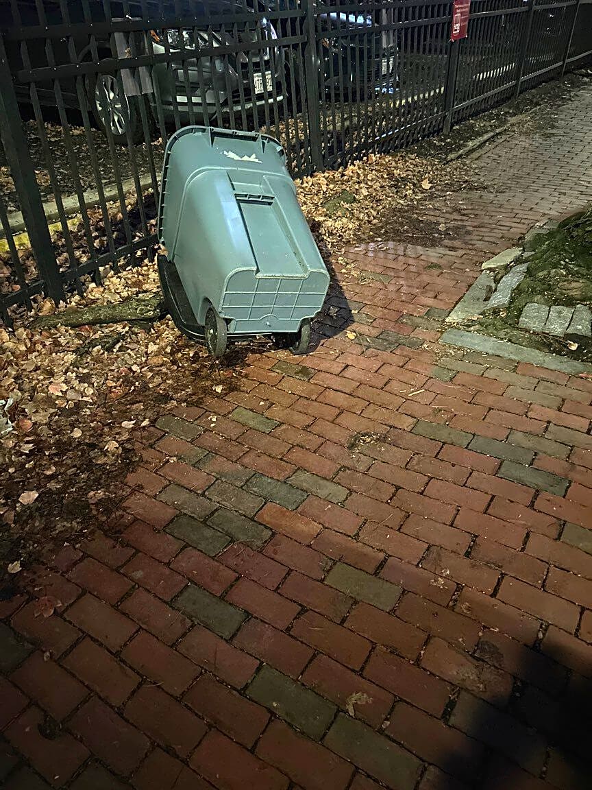 Image submitted with report