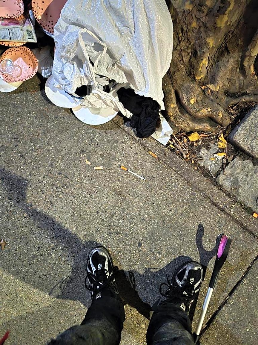 Image submitted with report