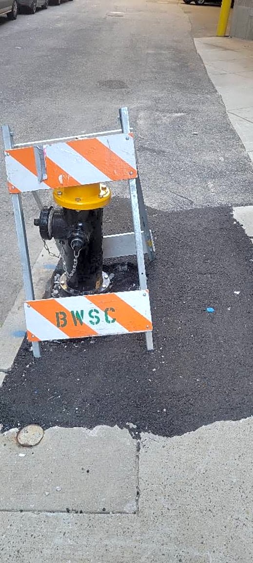 Image submitted with report