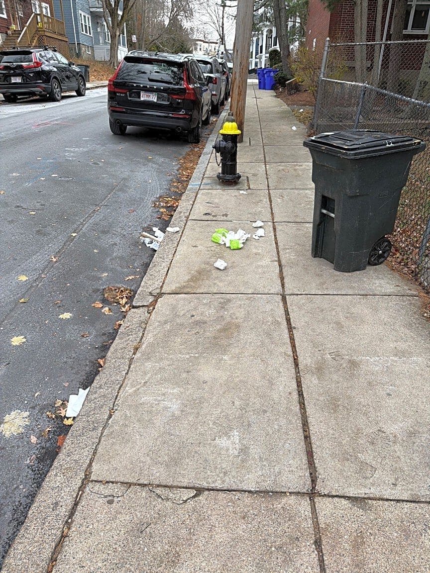 Image submitted with report