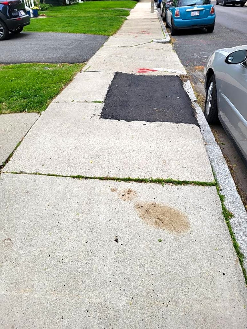 Image submitted with report