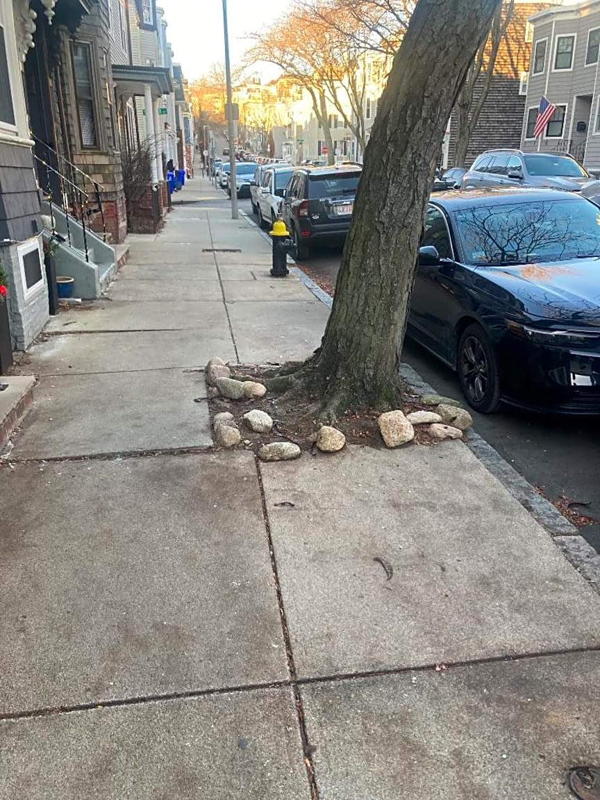 Image submitted with report