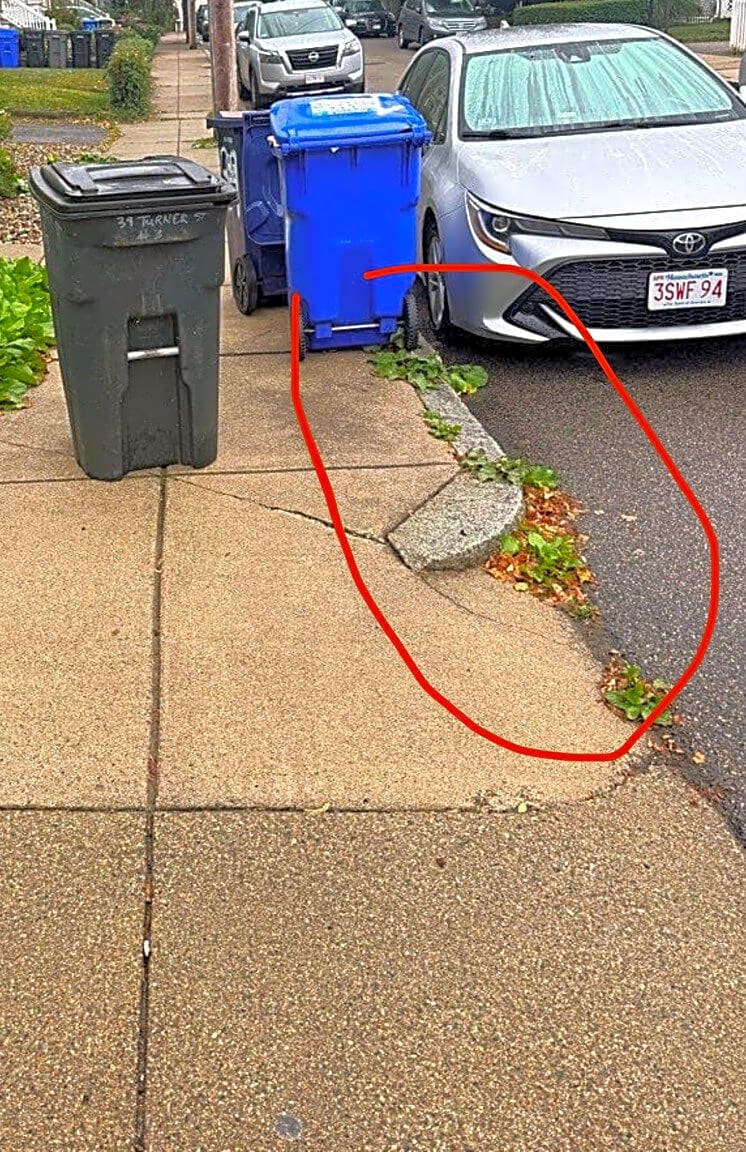Image submitted with report