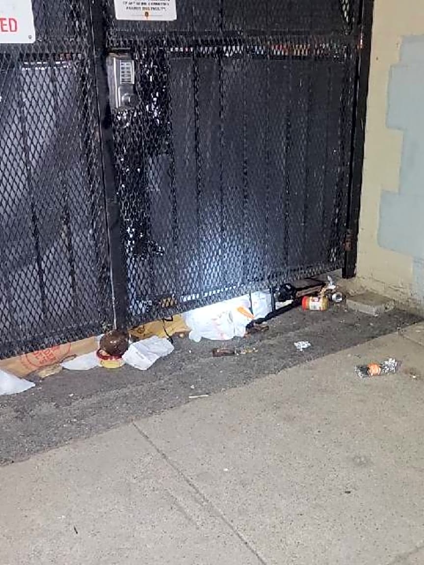 Image submitted with report