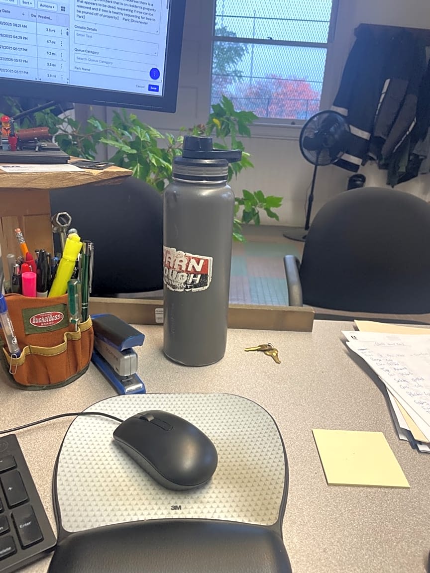 Image submitted with report