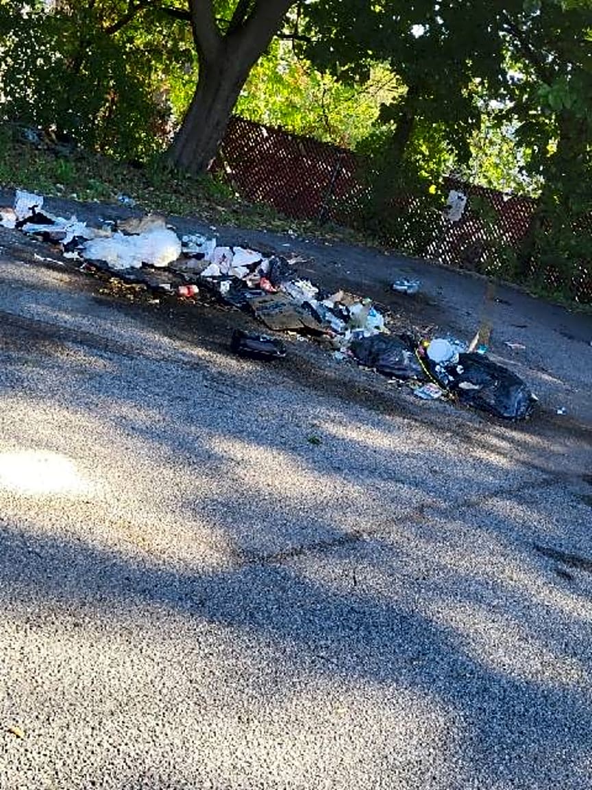 Image submitted with report