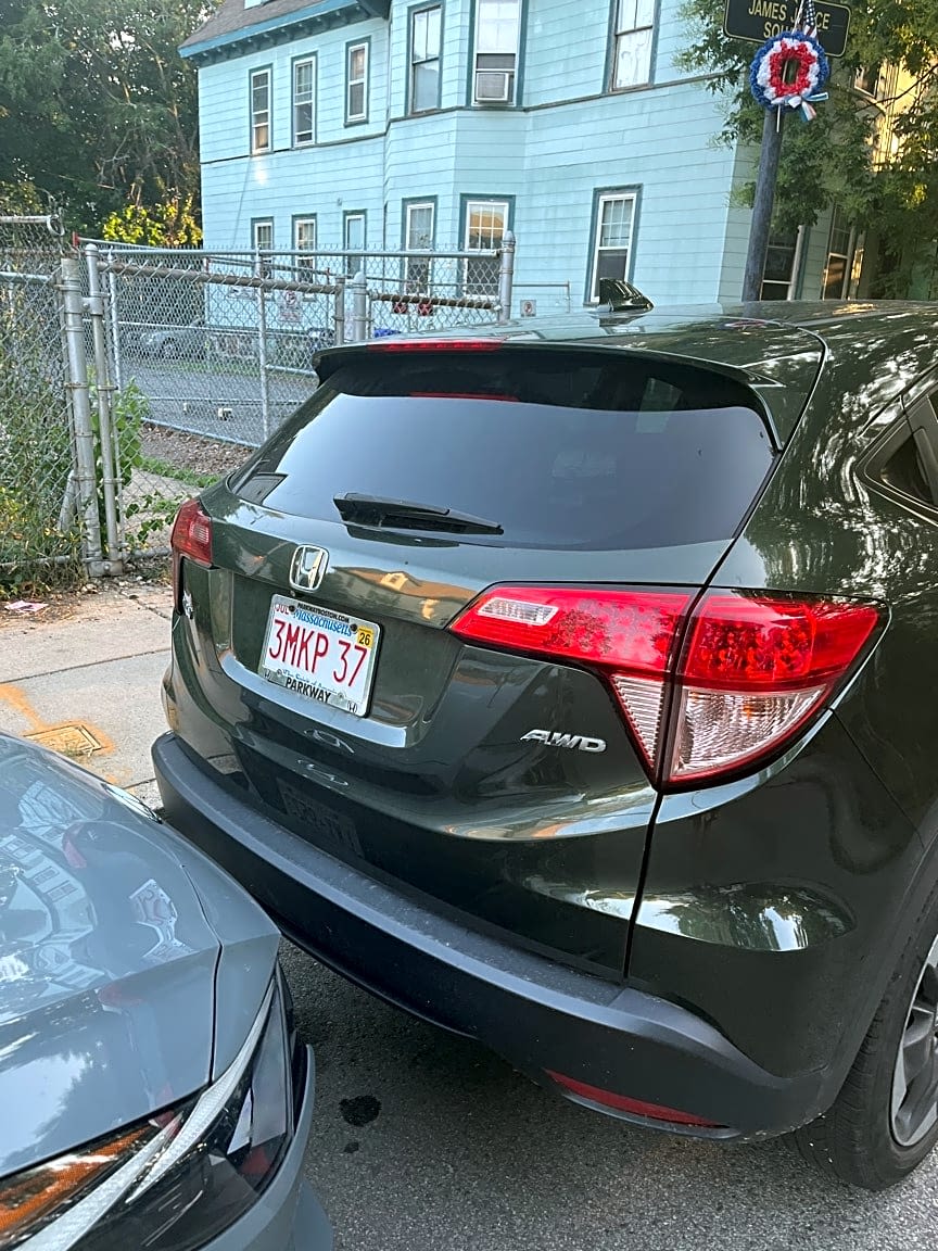 Image submitted with report