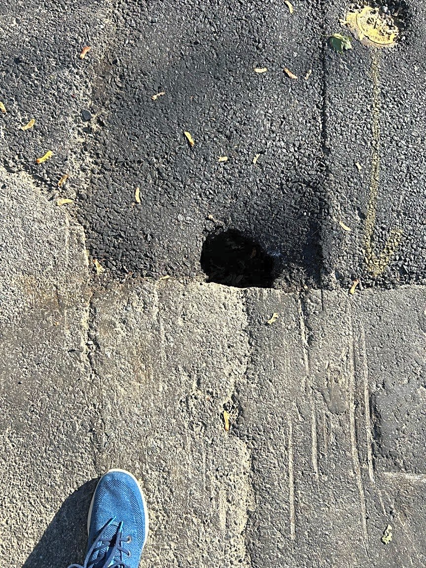 Image submitted with report