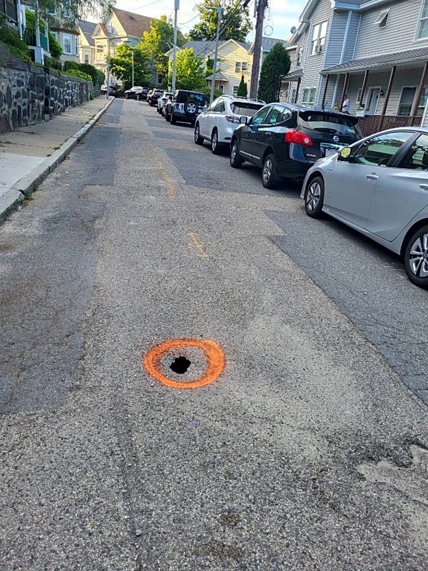 Image submitted with report