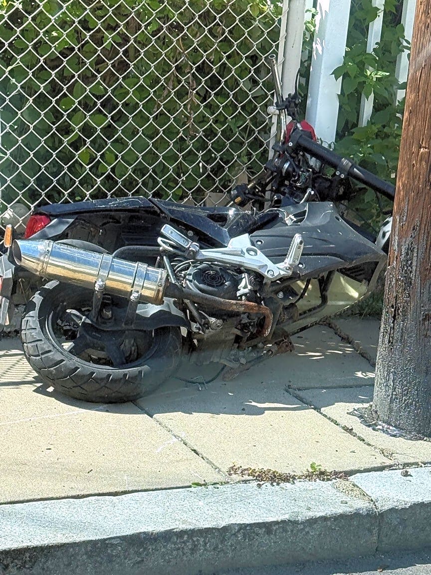 Image submitted with report