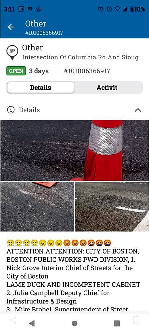 Image submitted with report