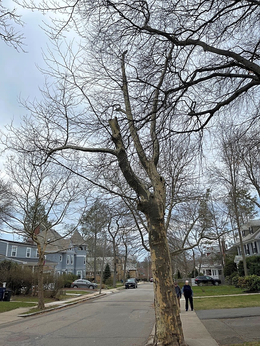 Boston