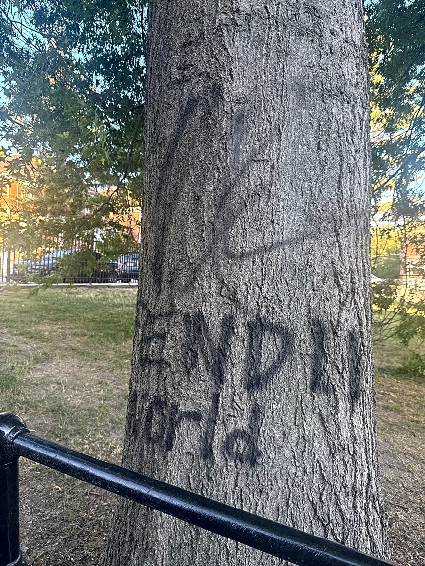 Image submitted with report