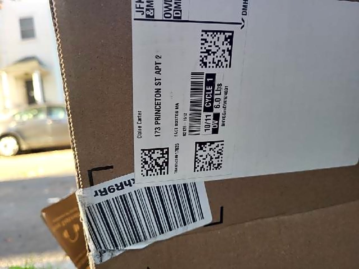 Image submitted with report