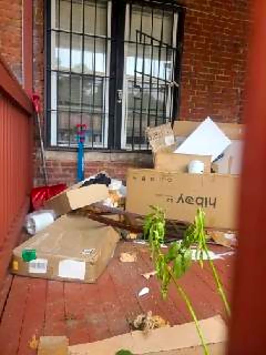 Image submitted with report