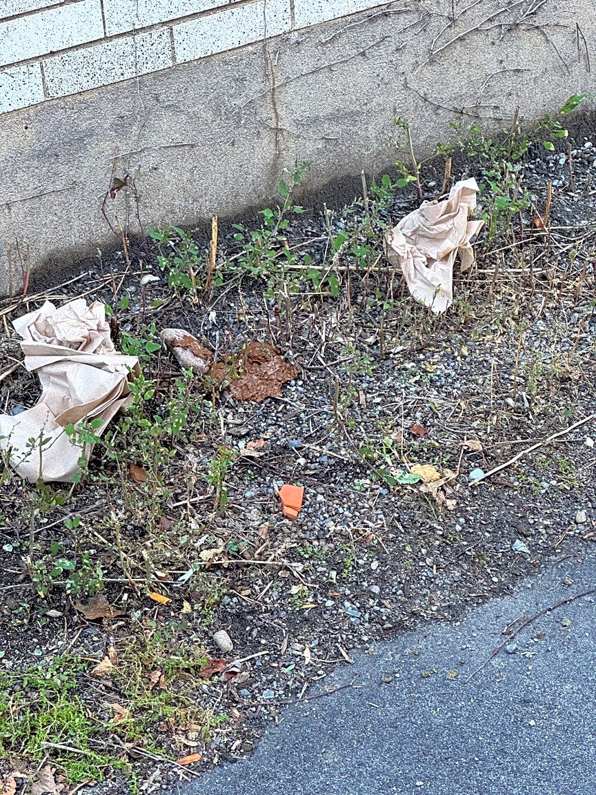Image submitted with report