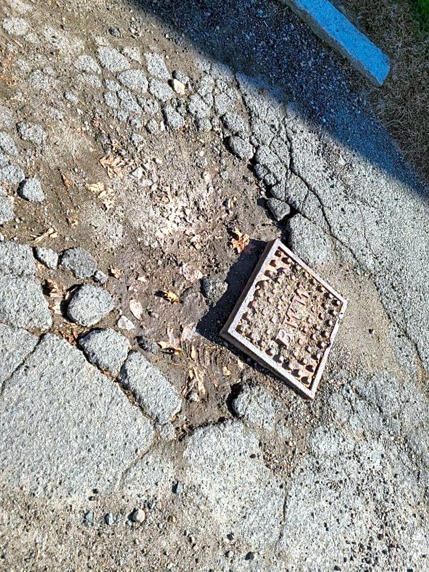 Image submitted with report