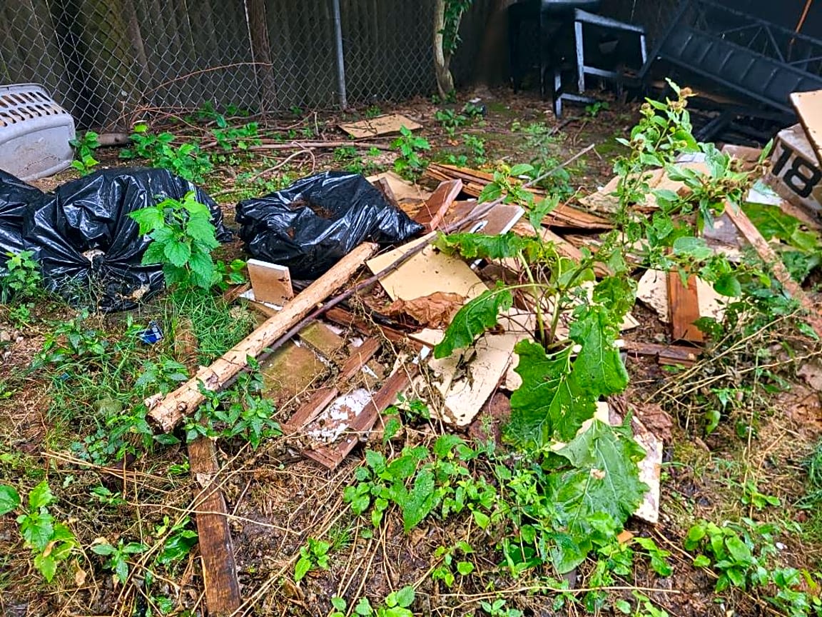 Image submitted with report