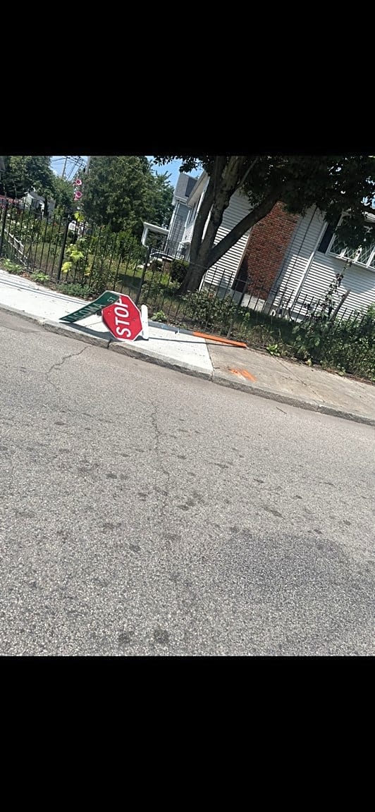 Image submitted with report