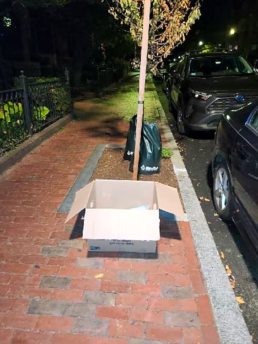 Image submitted with report