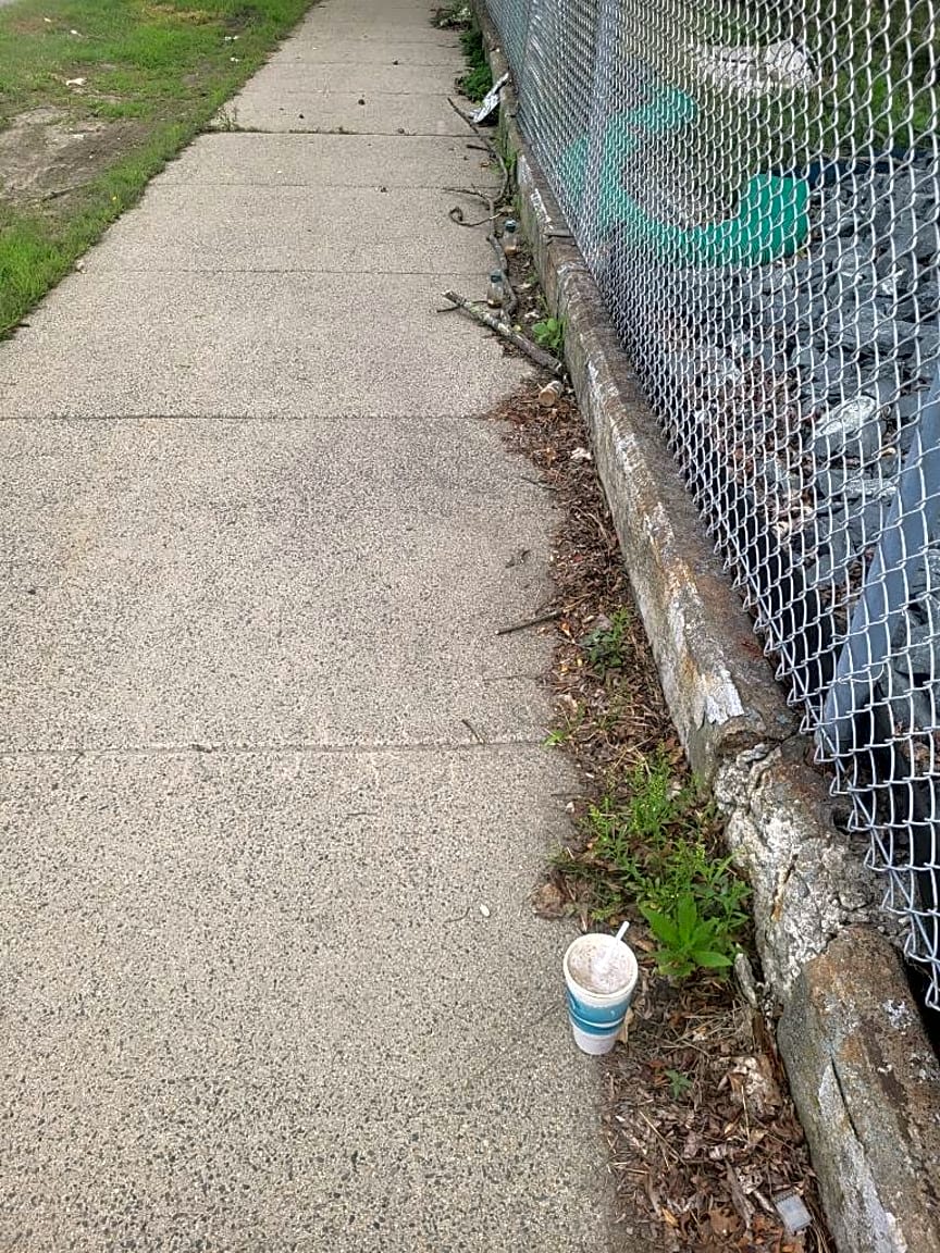 Image submitted with report