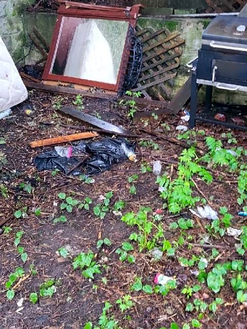 Image submitted with report