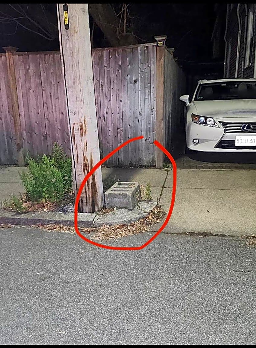 Image submitted with report