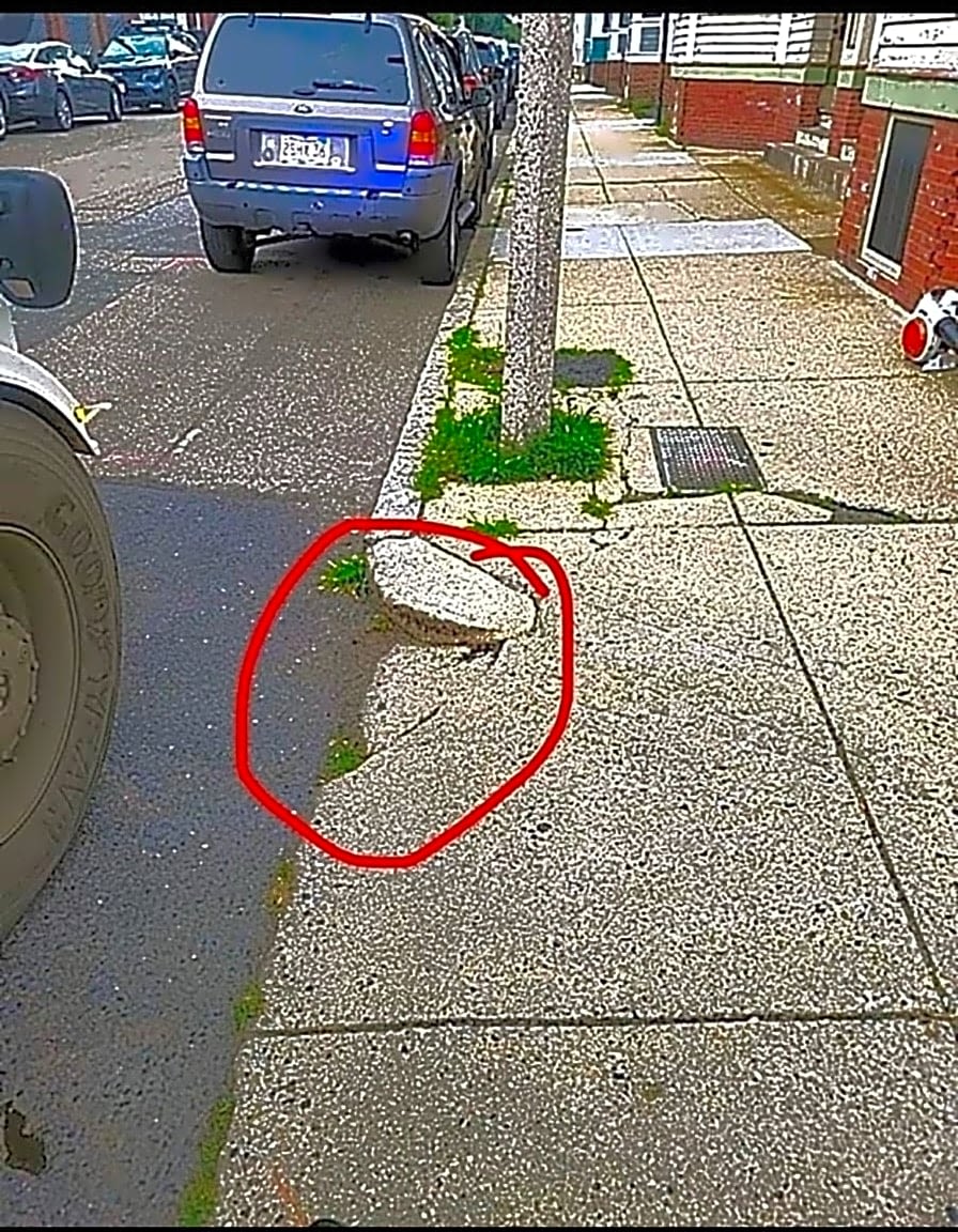 Image submitted with report