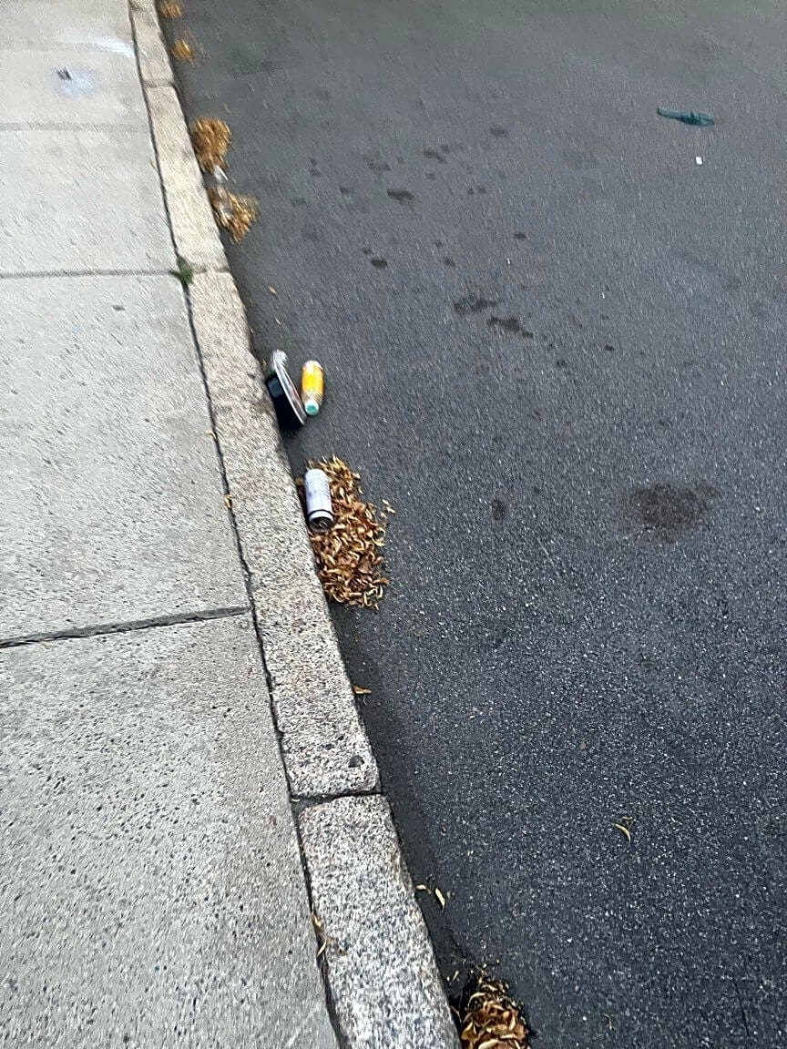 Image submitted with report