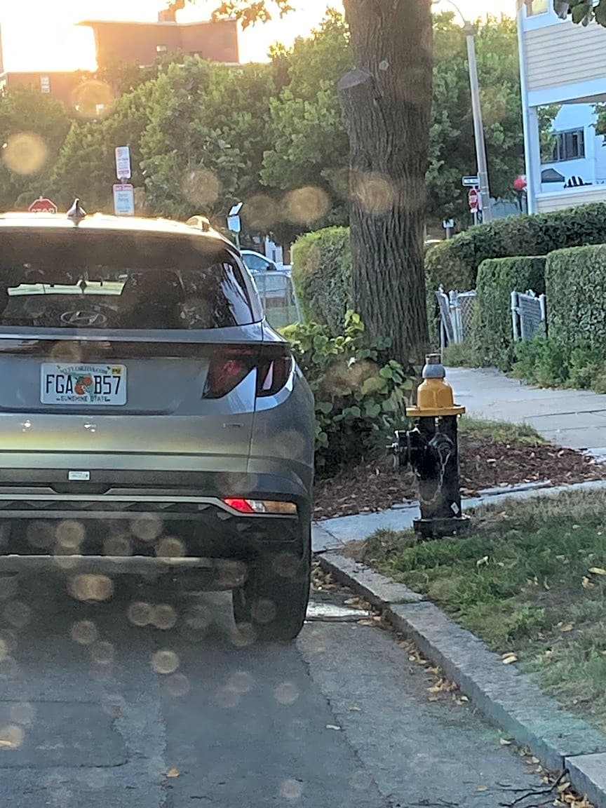 Image submitted with report