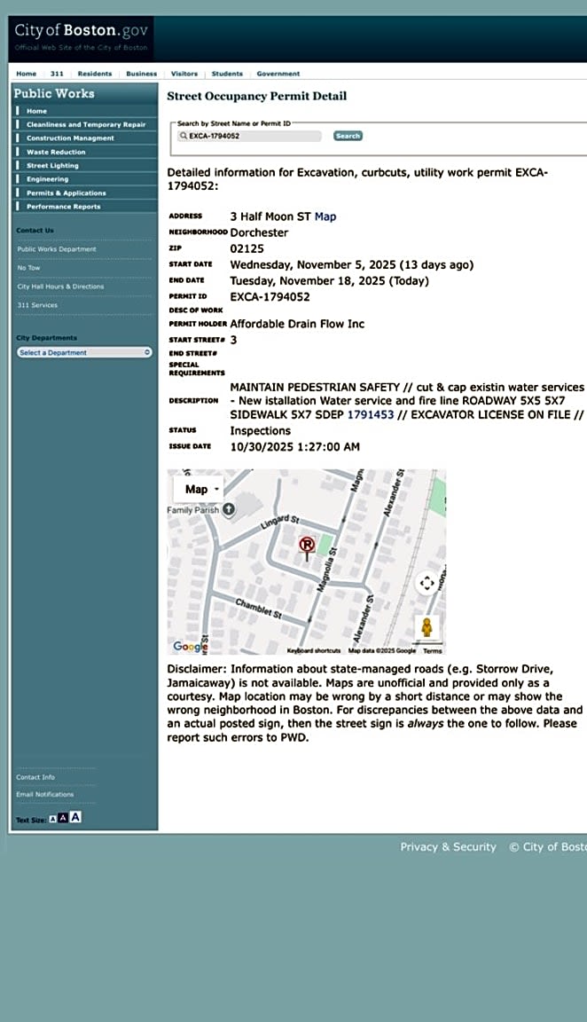 Image submitted with report