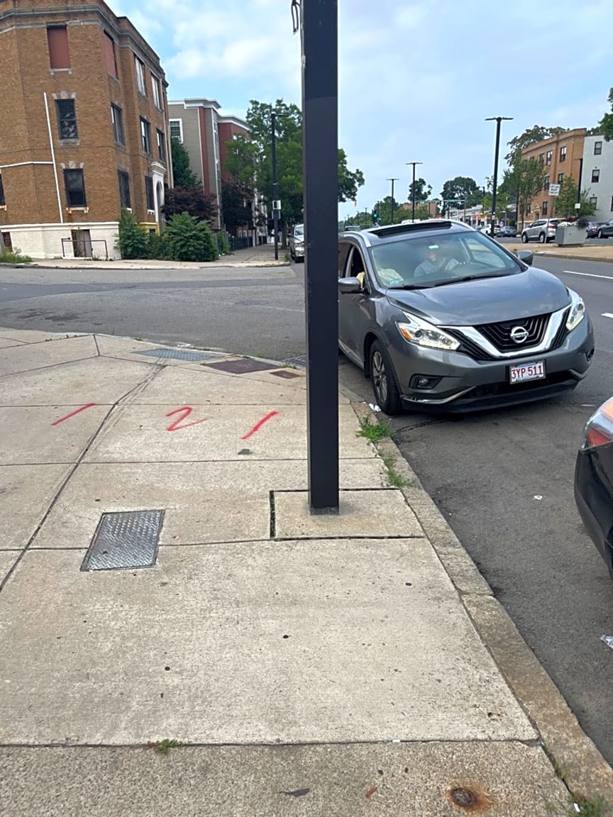 Image submitted with report